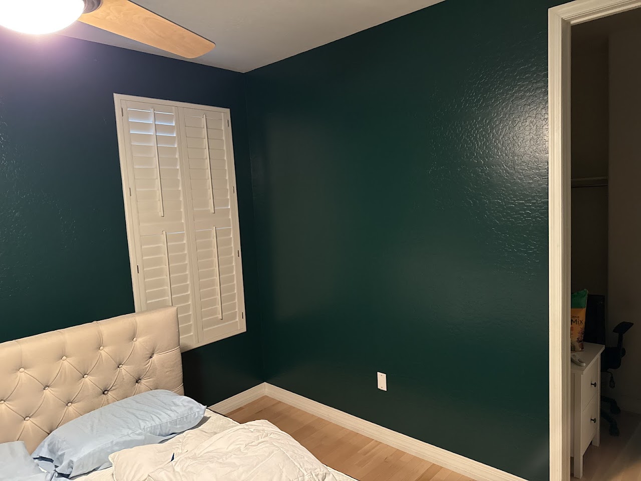 Finish Coat Painting project